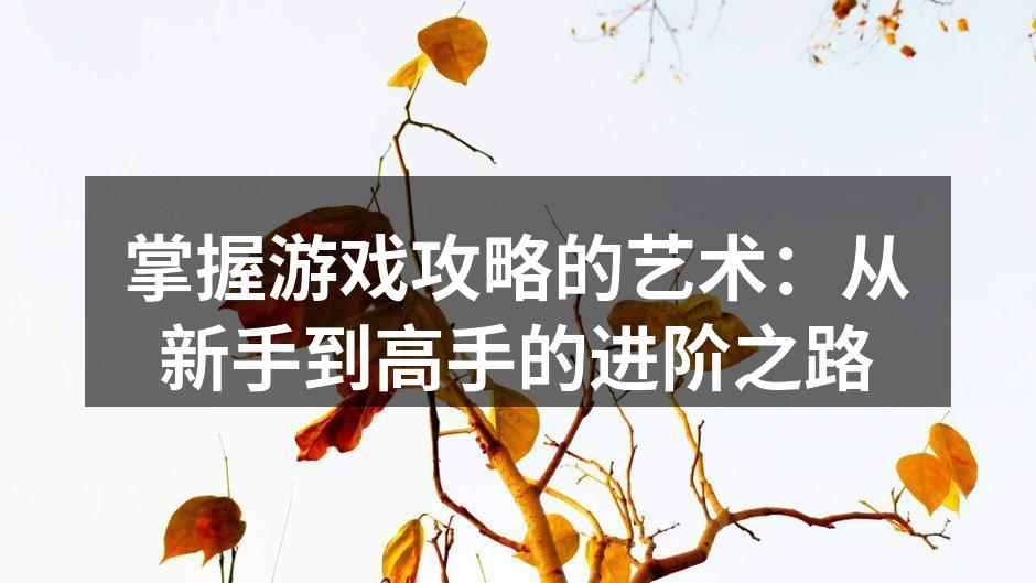 掌握游戏攻略的艺术：从新手到高手的进阶之路