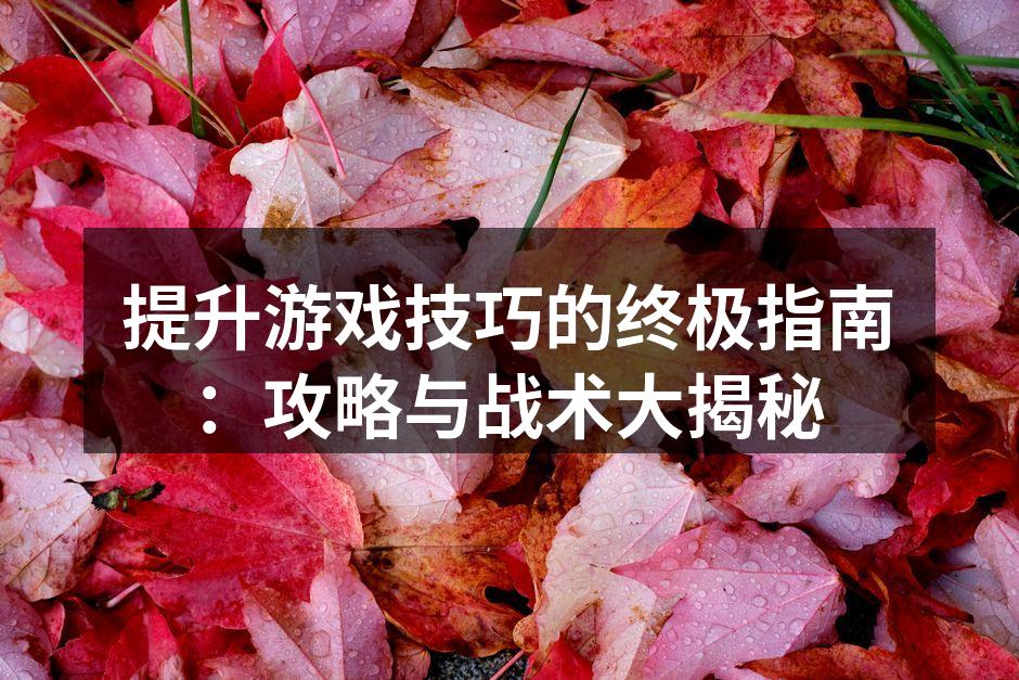 提升游戏技巧的终极指南：攻略与战术大揭秘